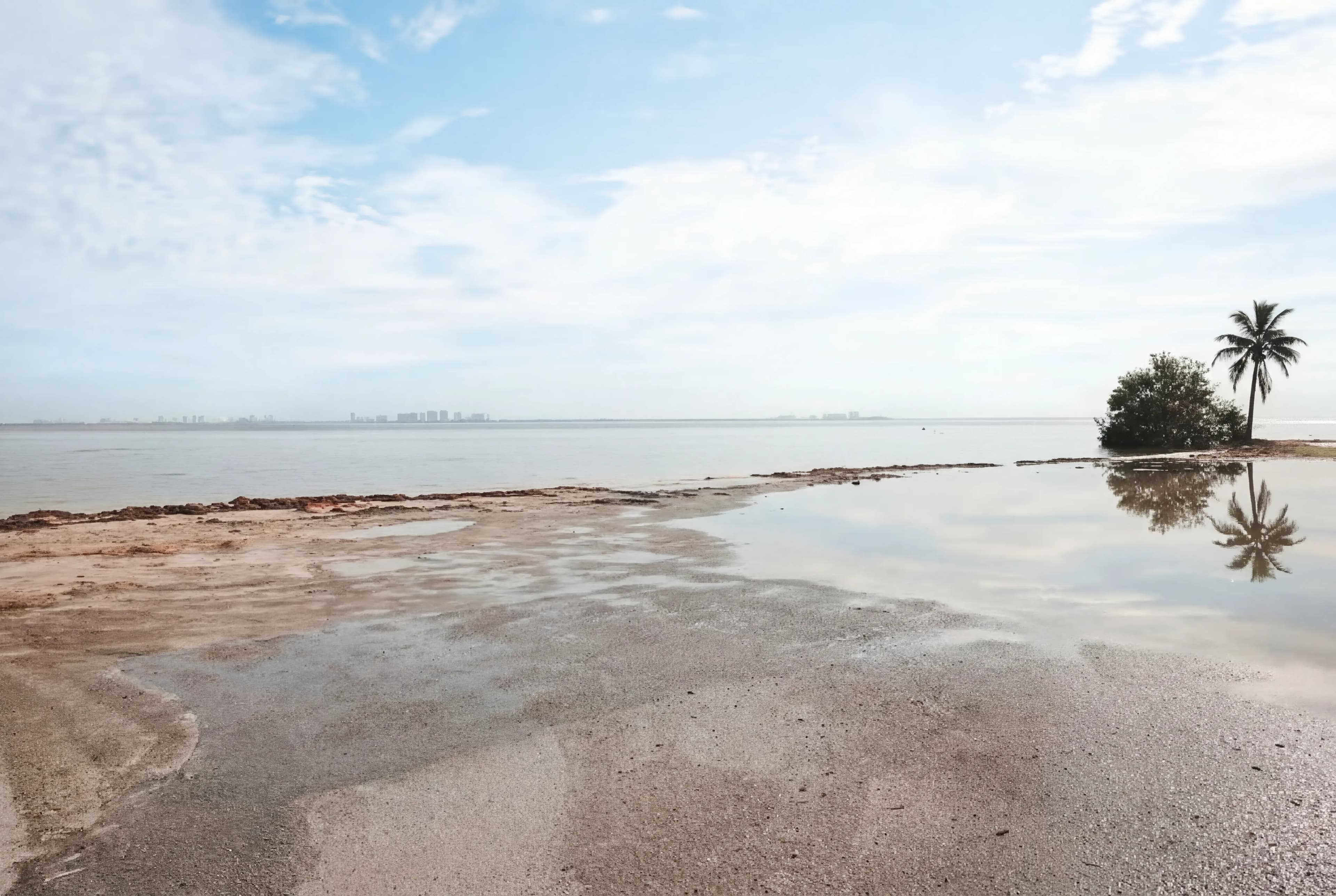 Matheson Hammock Park & Marina car photo location